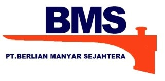 bms BMS