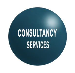 consultancy-services Consultancy Services